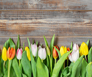 Similar image 21320638