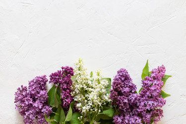 Similar image 21320967