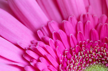 Similar image 21320646