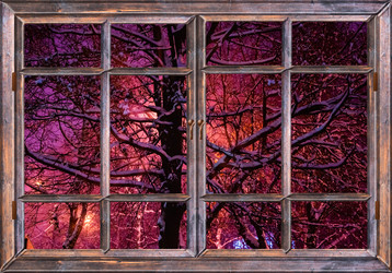 Similar image 21297062