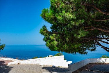 Similar image 21297068