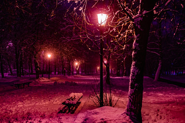 Similar image 21297074