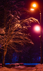 Similar image 21297075