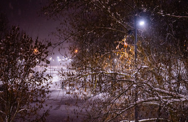 Similar image 21297077