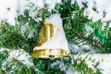 Similar image 21297079