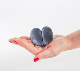 Similar image 21320648