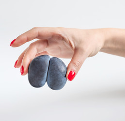 Similar image 21320649