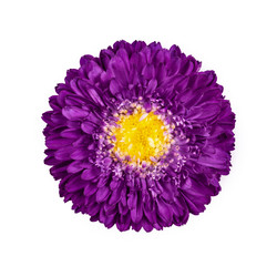 Similar image 21320985