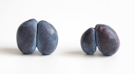 Similar image 21320988