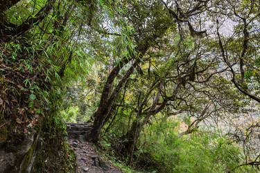 Similar image 21293364