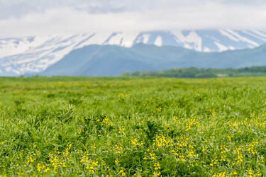 Similar image 21293368