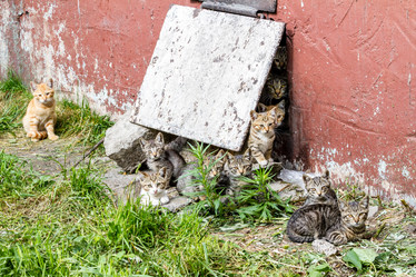 Similar image 21293369