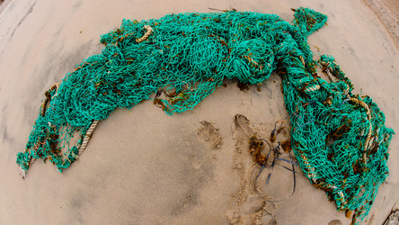 Similar image 21293373