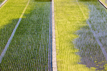 Similar image 21293378