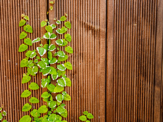 Similar image 21293379