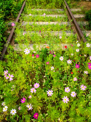 Similar image 21293380