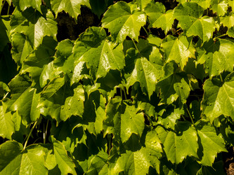 Similar image 21293381