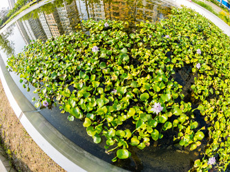 Similar image 21293384