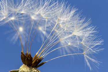 Similar image 21293385