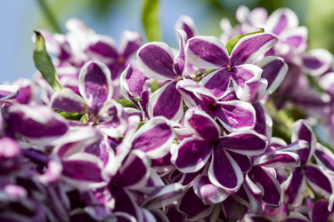 Similar image 21293397