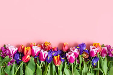 Similar image 21320993