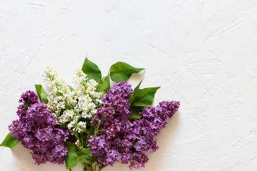 Similar image 21321014