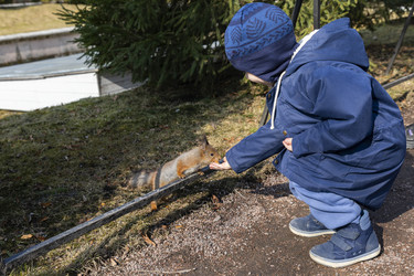 Similar image 21312450