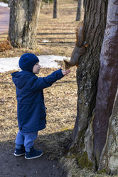 Similar image 21312454