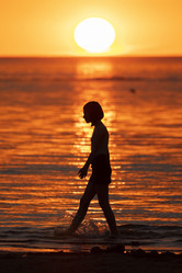 Similar image 21312489