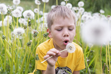 Similar image 21312490