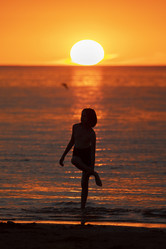 Similar image 21312495