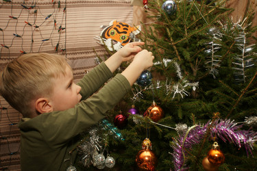 Similar image 21312499