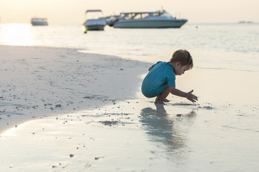 Similar image 21312507