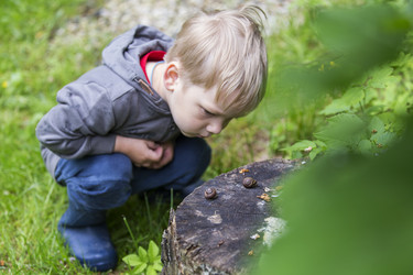 Similar image 21312509