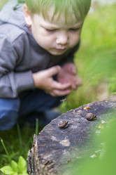 Similar image 21312511