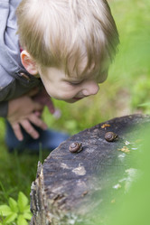 Similar image 21312512