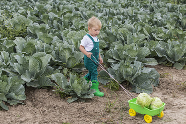 Similar image 21312551