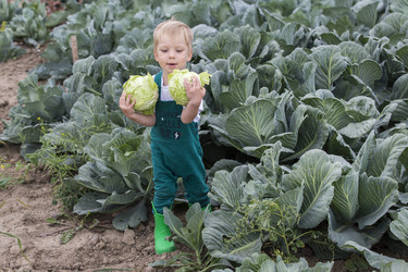 Similar image 21312552