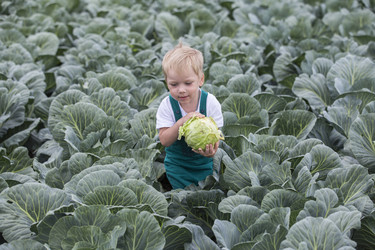 Similar image 21312554