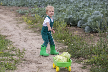 Similar image 21312556