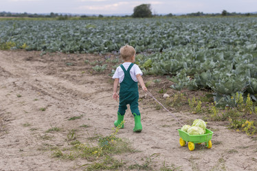 Similar image 21312558