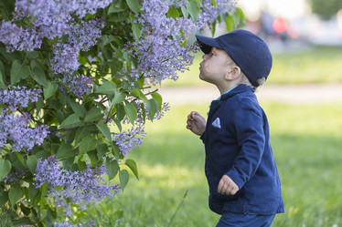 Similar image 21312559