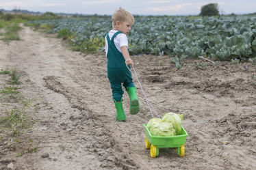 Similar image 21312560