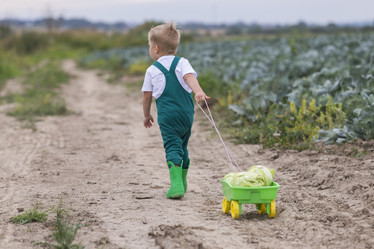 Similar image 21312562