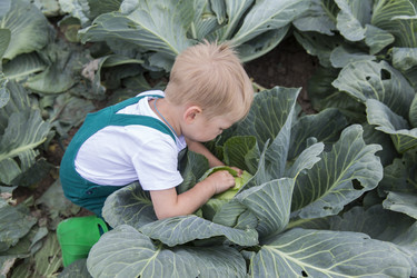 Similar image 21312565