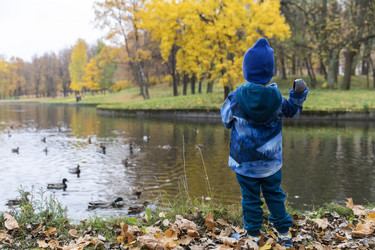 Similar image 21312569