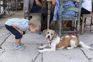 Similar image 21312605