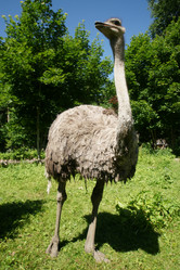 Similar image 21321022