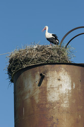 Similar image 21321023