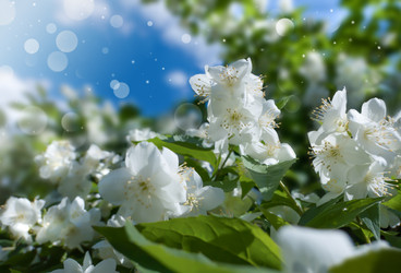 Similar image 21331885